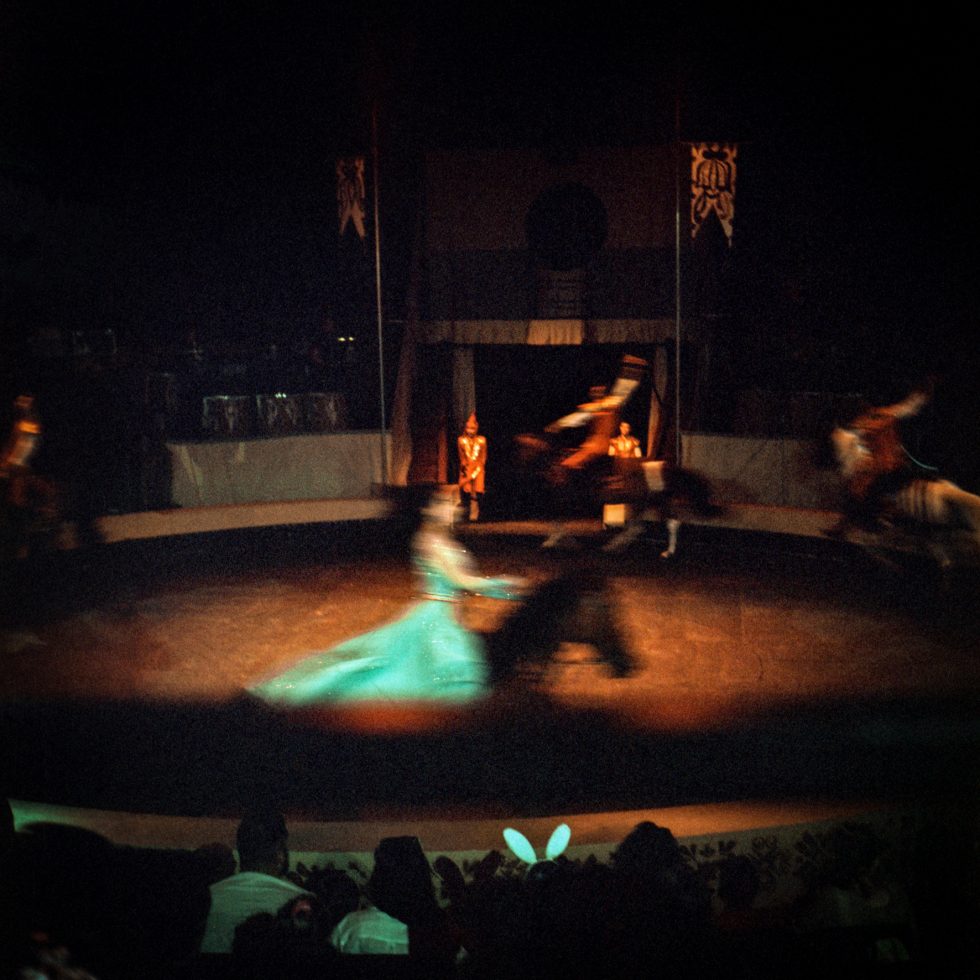 Cirkus – Ivana Brezovac / Mitar Terzić